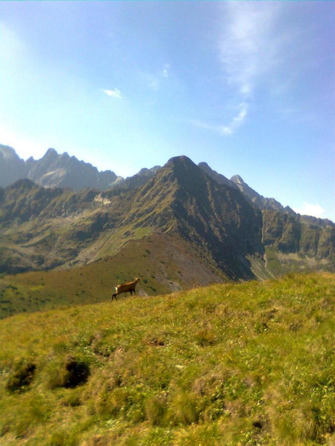 Villa Chalupka U Babicky Ždiar Esterno foto