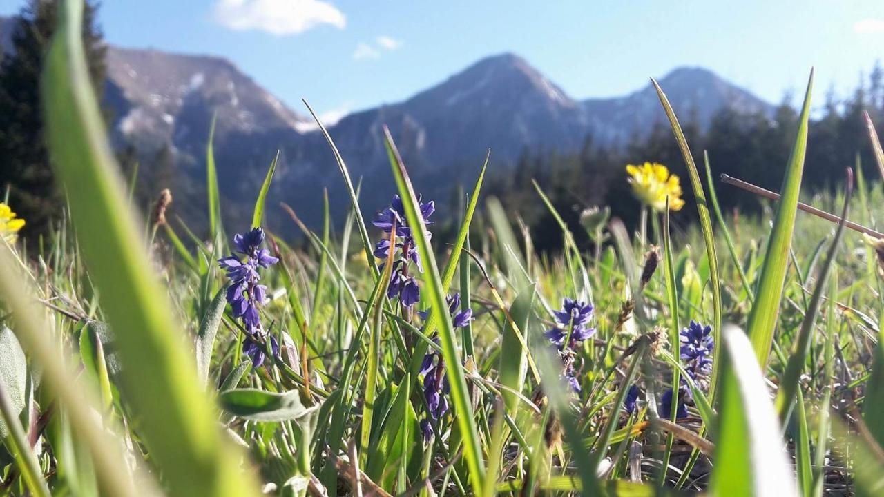 Villa Chalupka U Babicky Ždiar Esterno foto