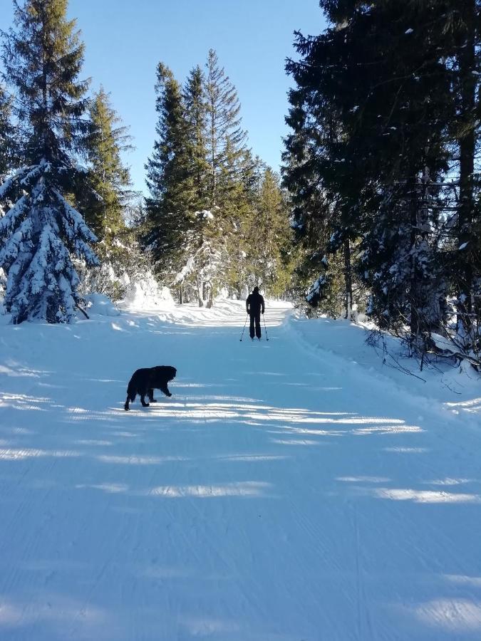 Villa Chalupka U Babicky Ždiar Esterno foto